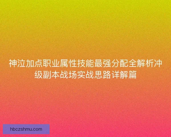神泣加点职业属性技能最强分配全解析冲级副本战场实战思路详解篇